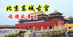 操bb在线网站中国北京-东城古宫旅游风景区